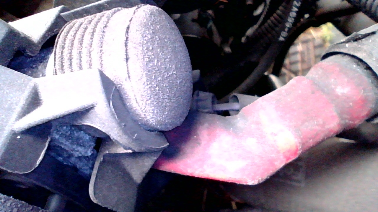Image taken with the iCarsoft VDSP2000 videoscope of a hose and clamp